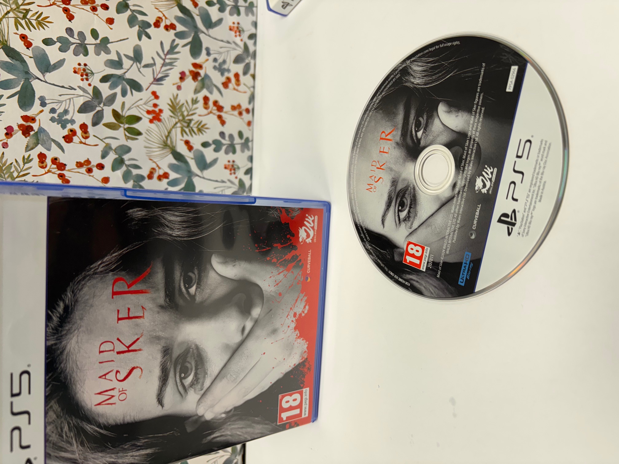 Product photo for ps5 maid of sker