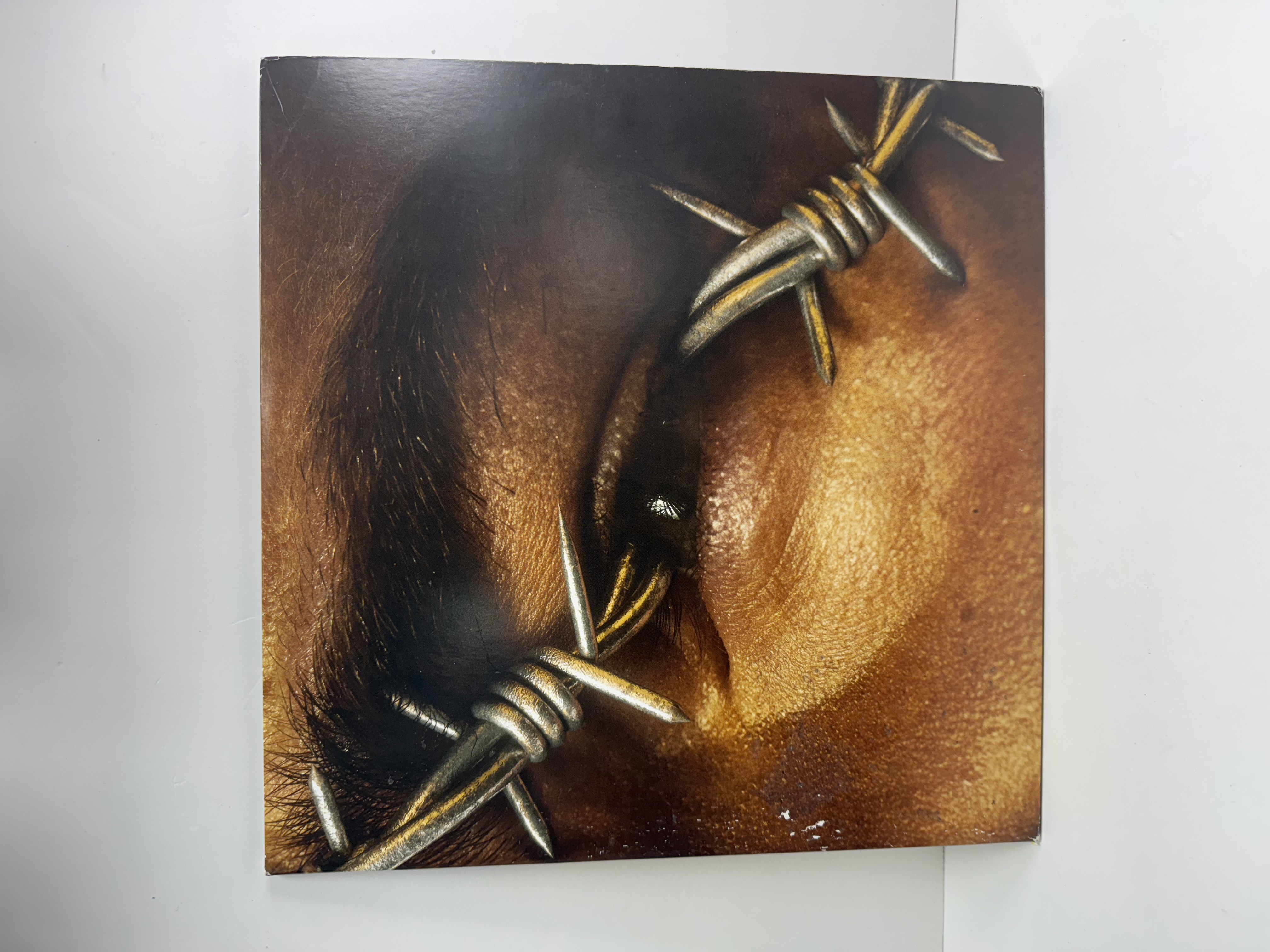 Product photo for   BEERBONGS AND BENTLEYS RECORD