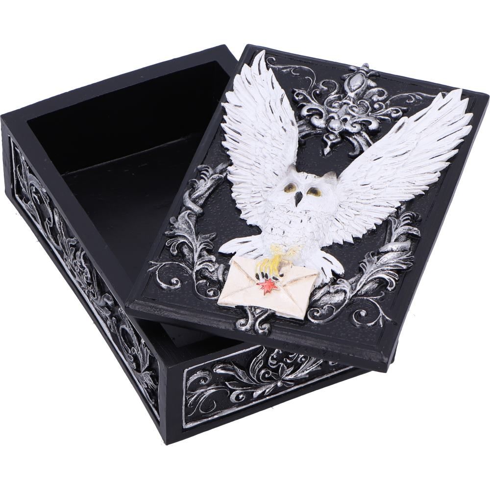 Product photo for Owl Messenger Box