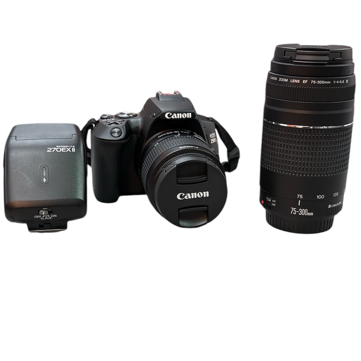Product photo for Canon EOS 250D & 18-55mm III Lens 70-300mm Speedlite 270EXII Bundle
