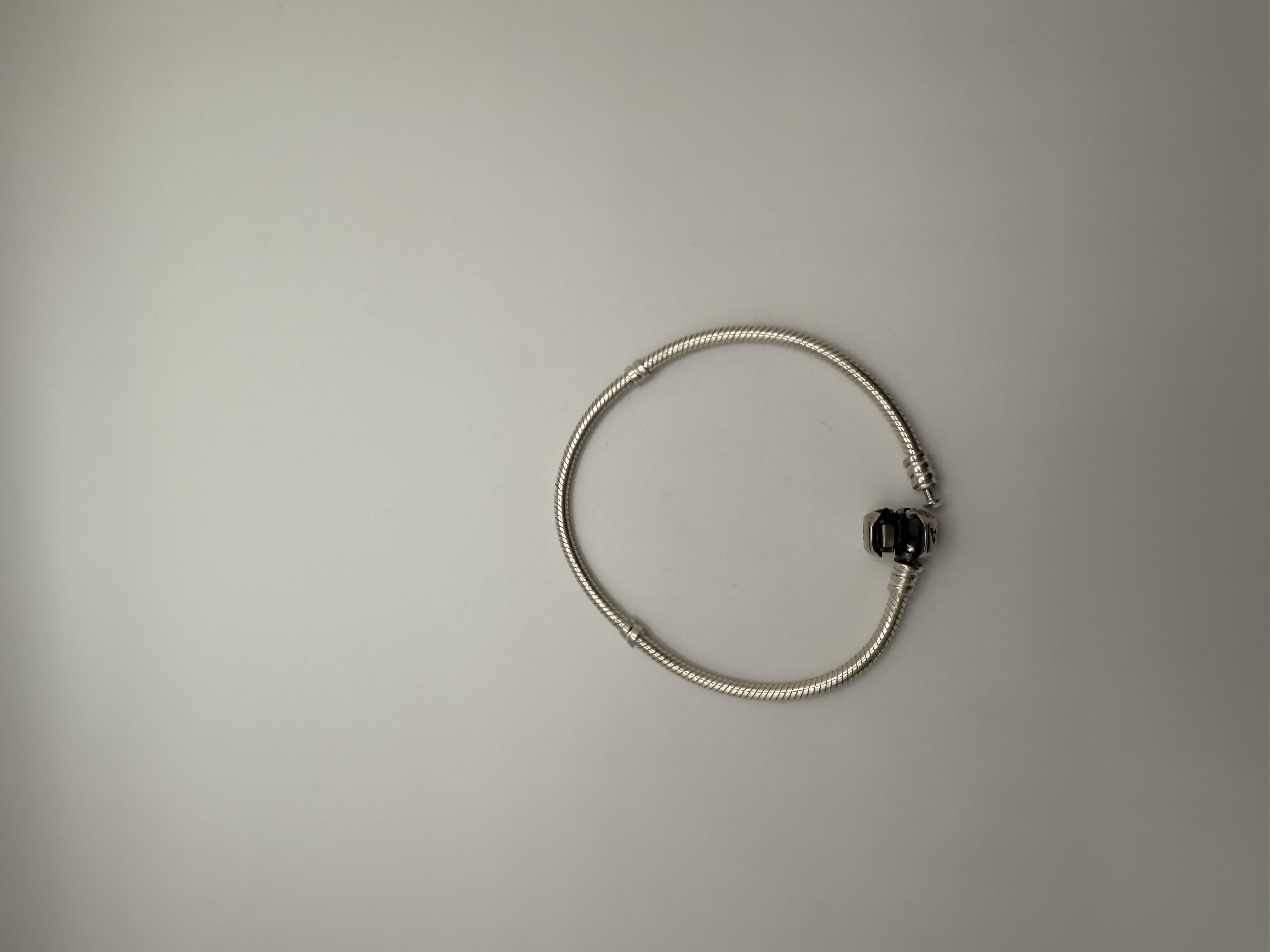Product photo for Pandora Charm Bracelet