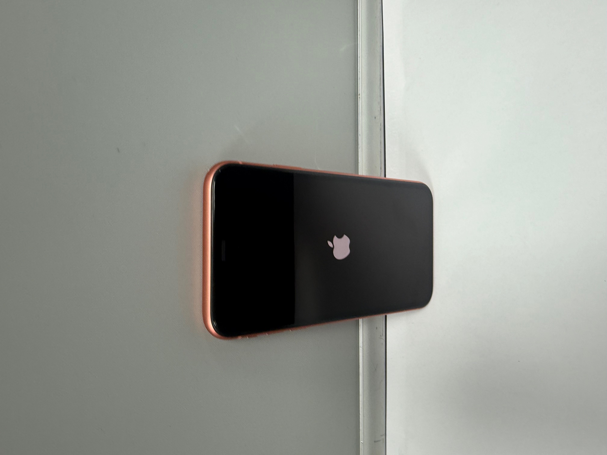 Product photo for coral iphone xr 64gb
