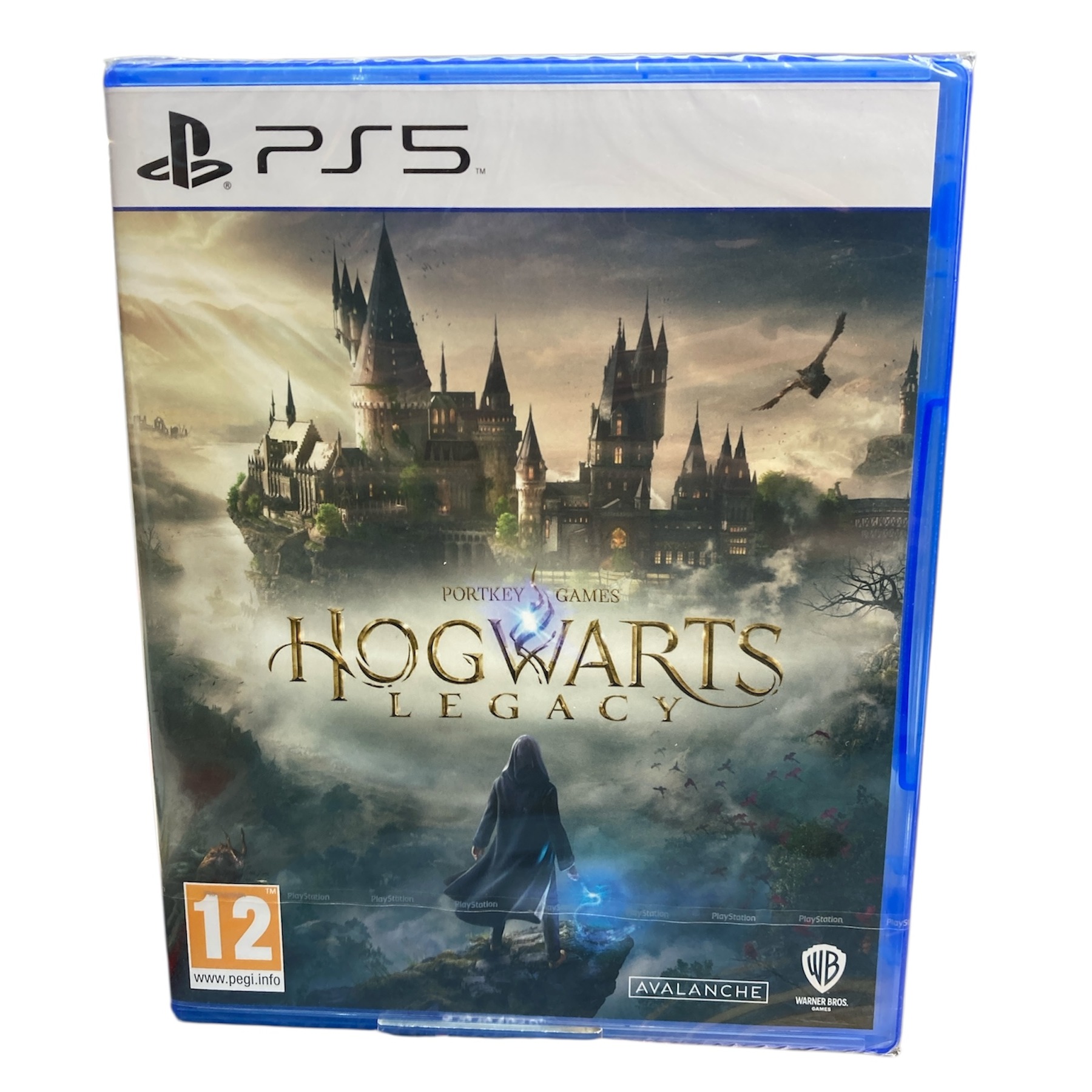 Product photo for Hogwarts Legacy (PS5)