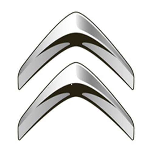 Product photo for Ricambi Citreon Badge Unused