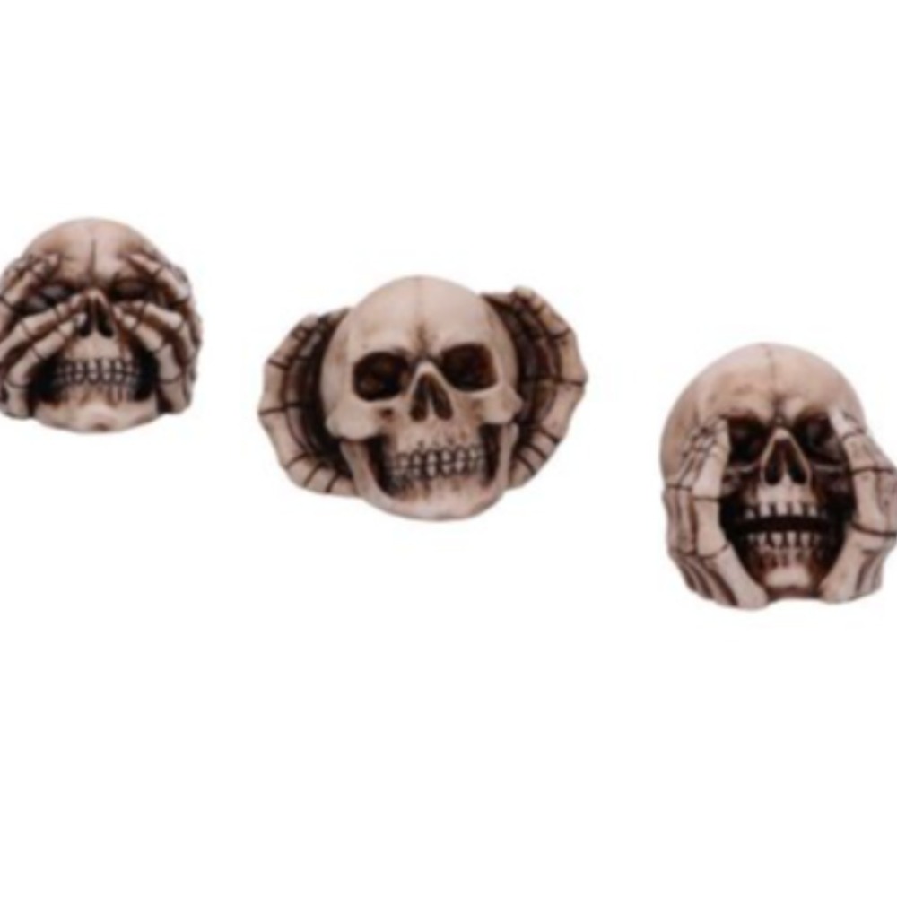 Product photo for Three Wise Skulls