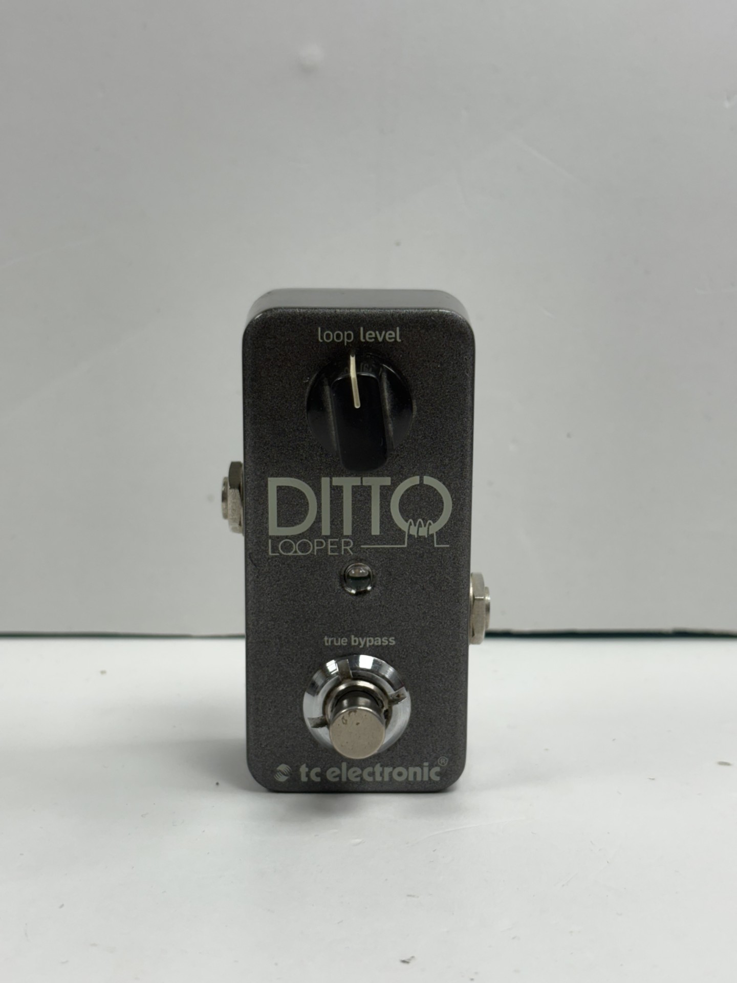 Product photo for TC ELECTRONIC Ditto Looper Guitar Pedal
