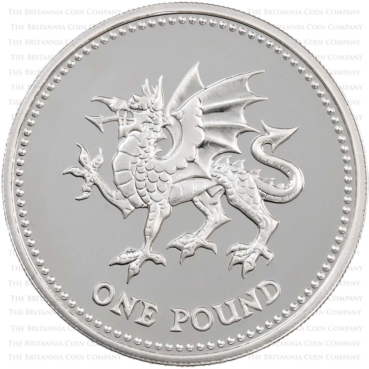 Product photo for ROYAL MINT SILVER PROOF WELSH £1 COIN 1995 IN CLEAR CASE