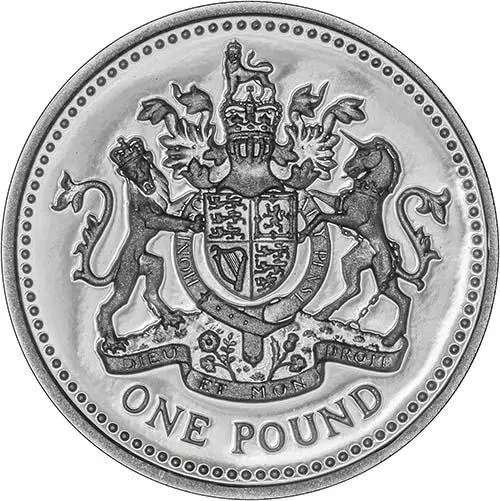Product photo for ROYAL MINT SILVER PROOF £1 COIN 1993 IN CLEAR CASE