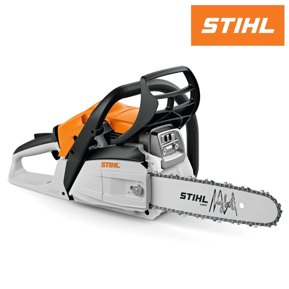 Product photo for Stihl MS 162 12