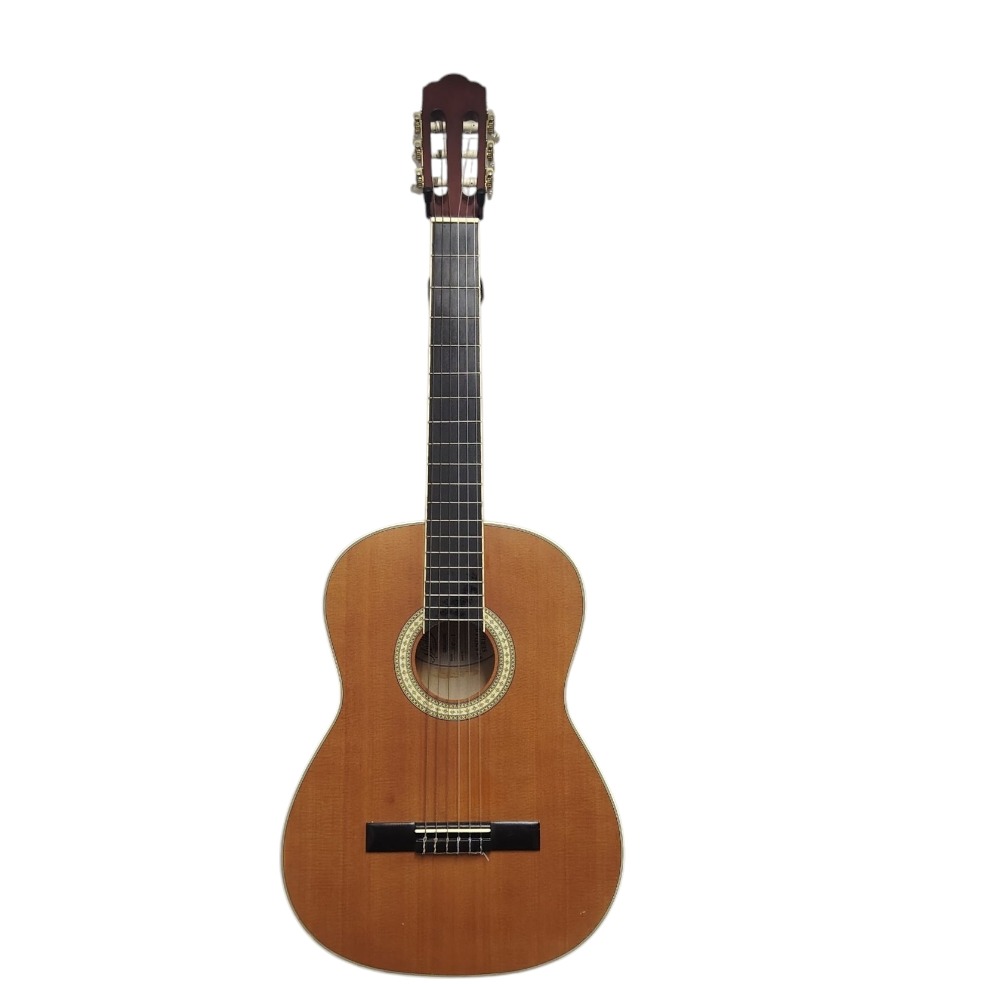 Product photo for Hudson HC-1 Acoustic Guitar