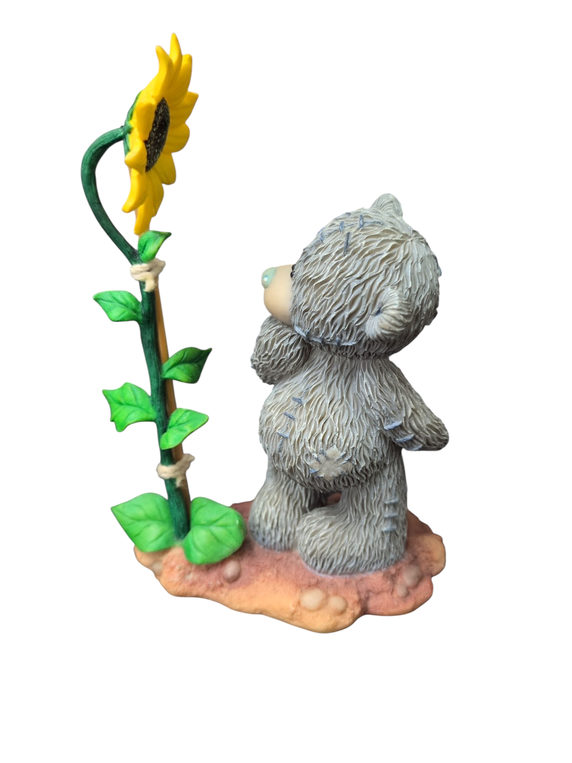 Product photo for Me to You 
