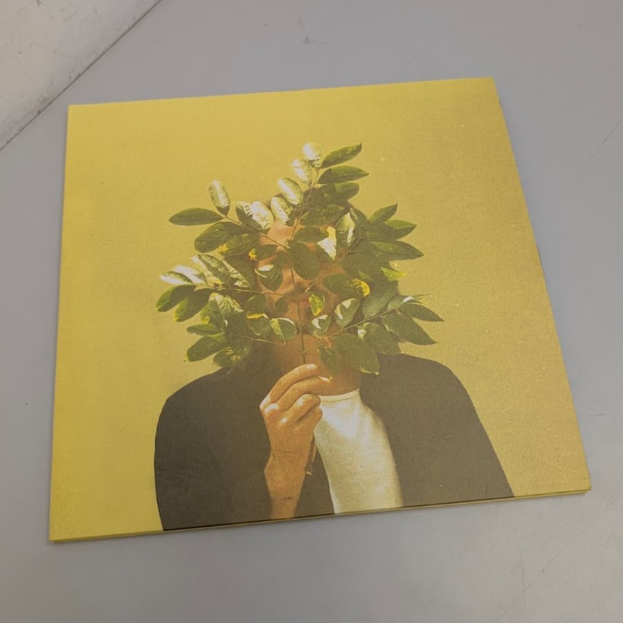 Product photo for FRENCH KIWI JUICE - VINYL 2XLP