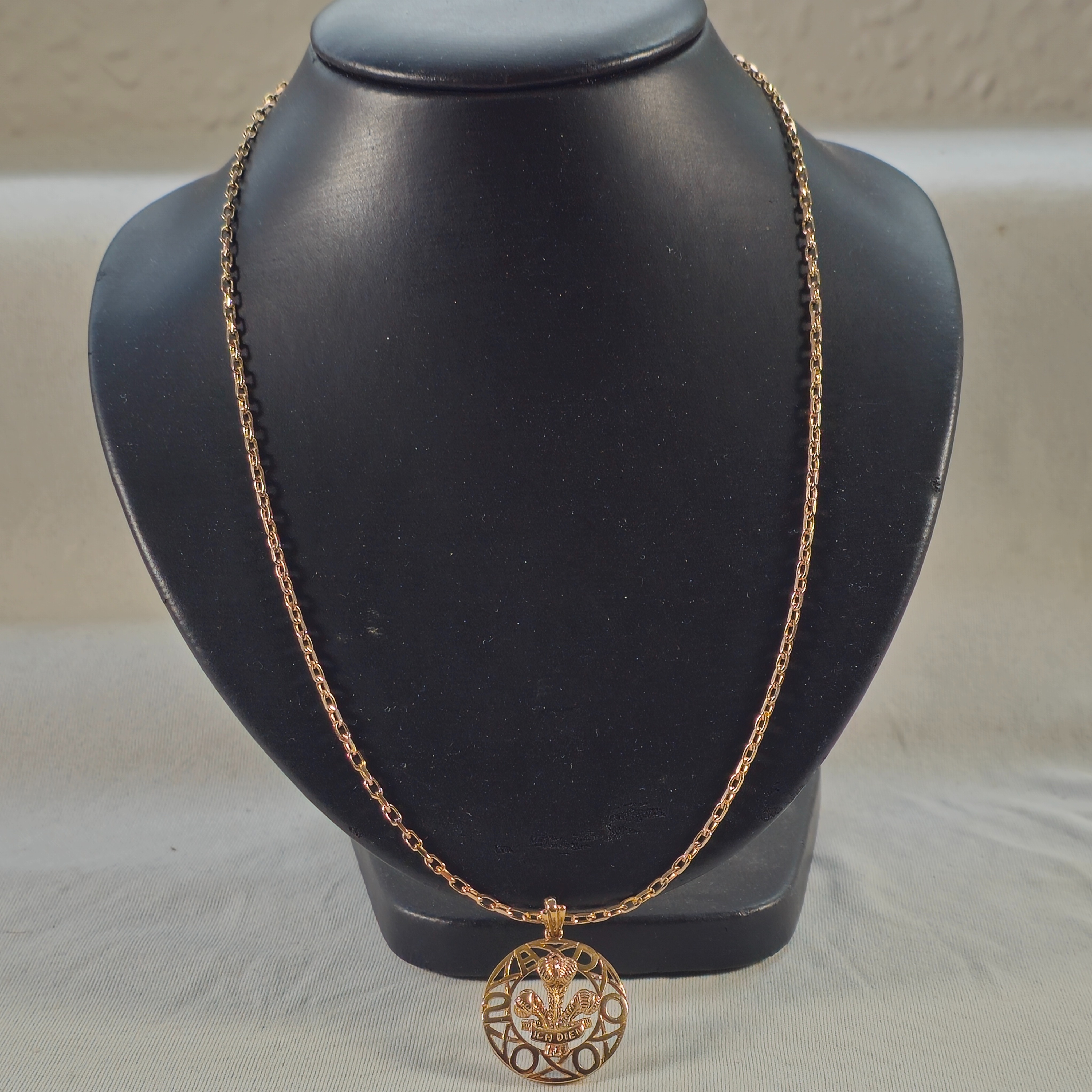 Product photo for 9ct Gold 3 Feather Circled Pendant & Chain 18.7